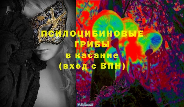 метадон Михайлов