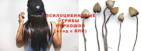 альфа пвп Михайловск
