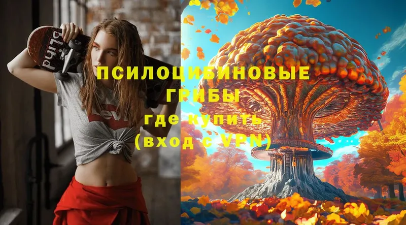 Псилоцибиновые грибы ЛСД  omg   Балашов 