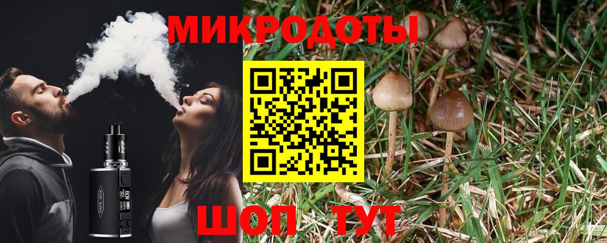 Балашов  Галлюциногенные грибы Psilocybe  Вход с VPN 