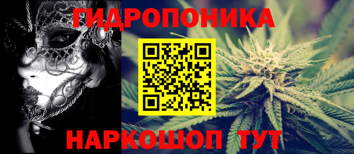 Канабис план  Конопля конопля  Вход с VPN  Балашов  Шишки марихуана ГИДРОПОН 